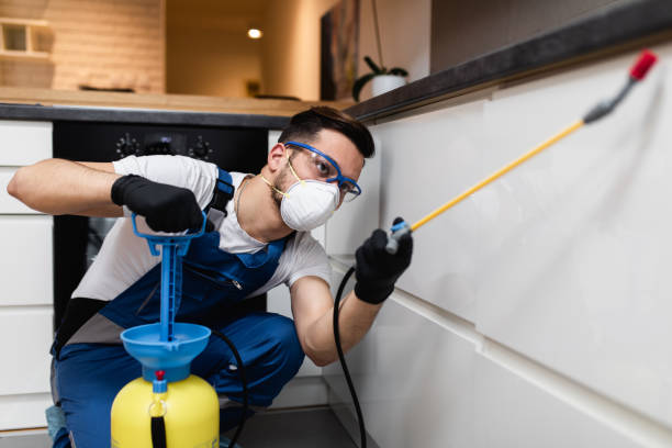 Best Best Pest Control Companies  in Palestine, TX