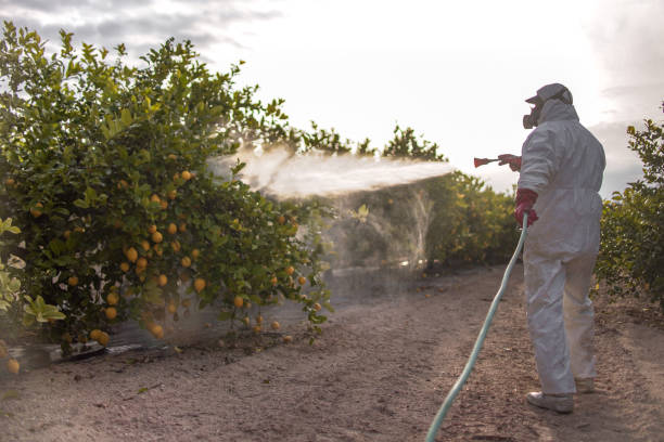 Best Cockroach Control Services  in Palestine, TX