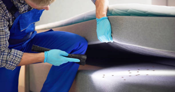 Best Wasp Removal Services  in Palestine, TX