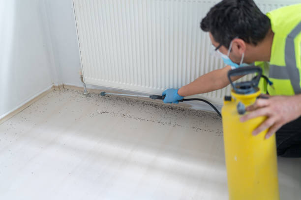 Best Exterminator Services  in Palestine, TX