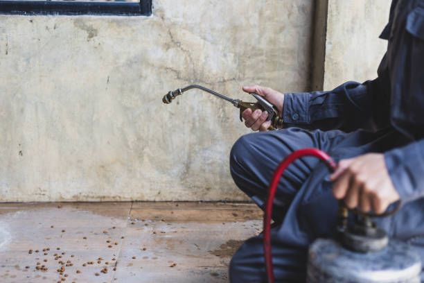 Best Pest Control Treatment  in Palestine, TX